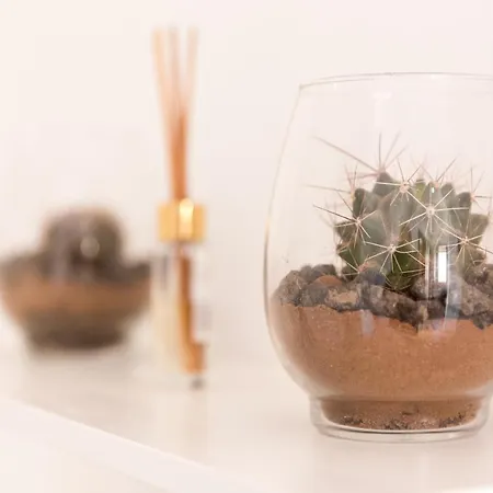 Apartment Home2book Vistas Corralejo, Amazing Terrace Corralejo