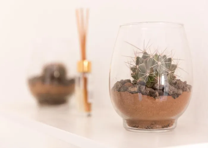 Lägenhet Home2book Vistas Corralejo, Amazing Terrace Corralejo