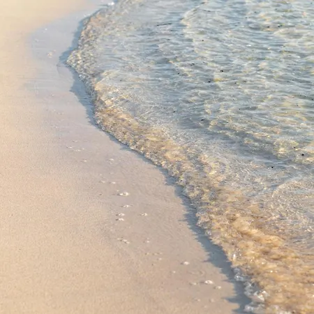 Home2book Vistas Corralejo, Amazing Terrace