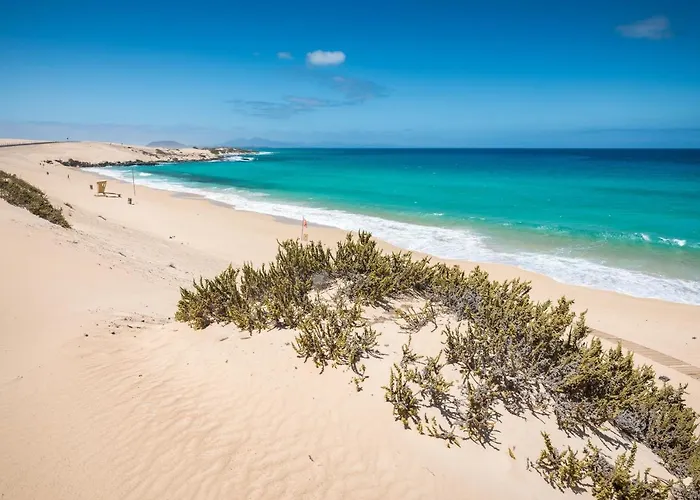 Home2book Vistas Corralejo, Amazing Terrace Apartment Corralejo